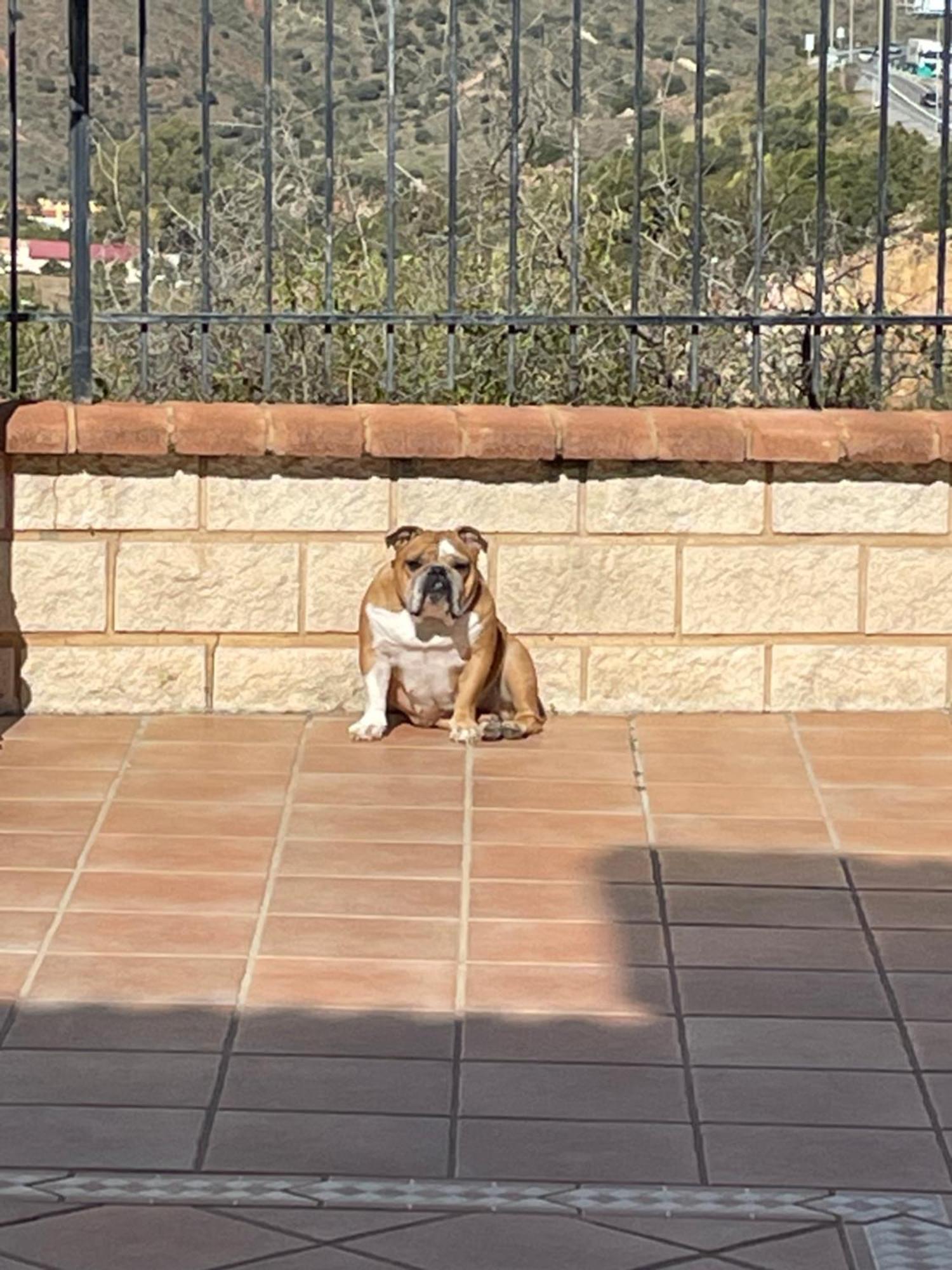 Cariad Boutique Bed & Breakfast La Cala Del Moral Exterior foto